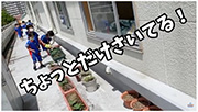 IB活動（探究活動）